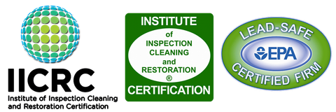 mold removal & remediation