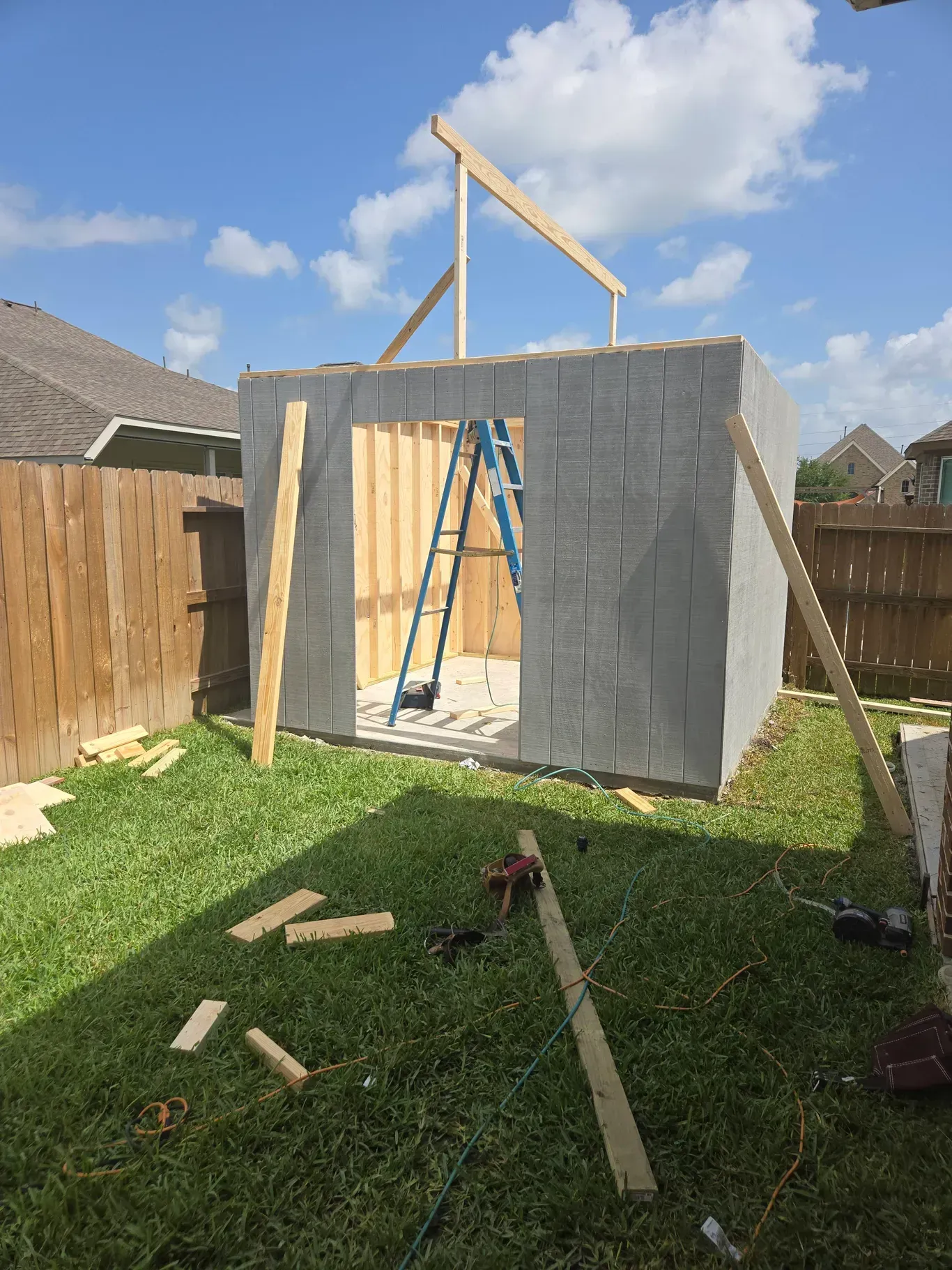 A shed is being built in a backyard with a ladder.