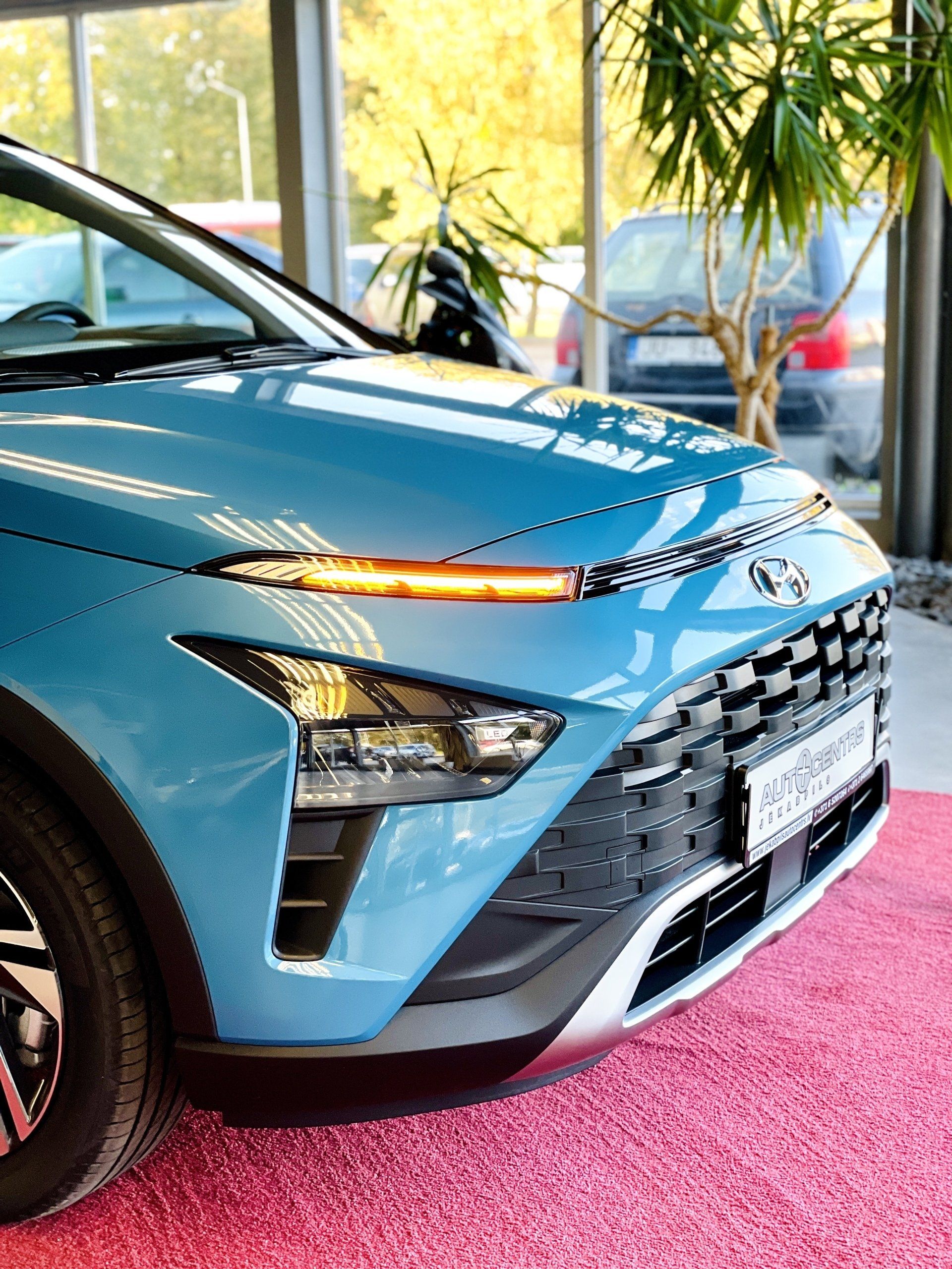 Zila mašīna ir novietota uz rozā paklāja salonā.