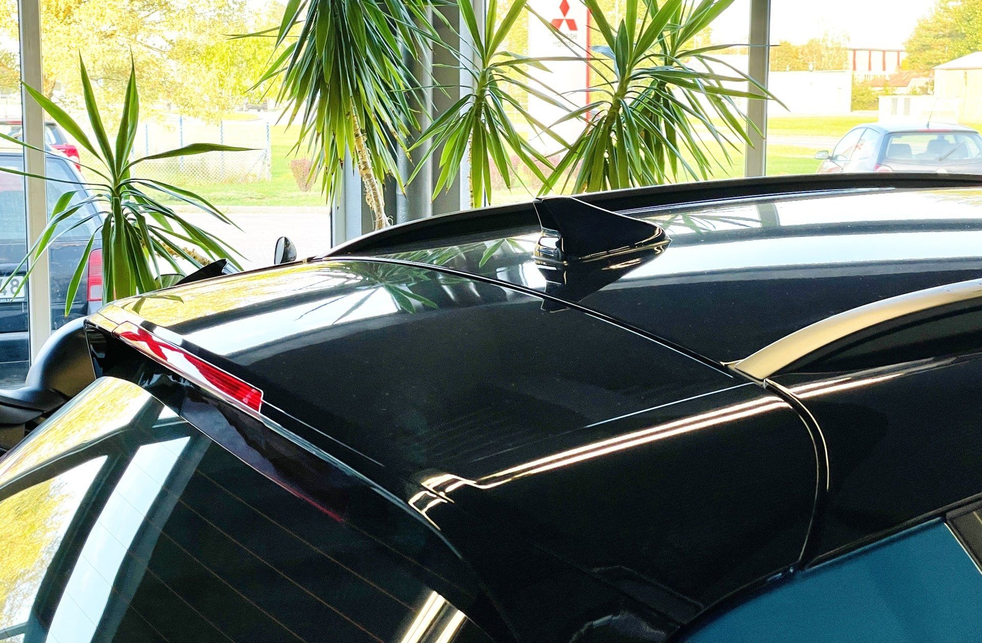 Melnas mašīnas jumts ar augu fonā