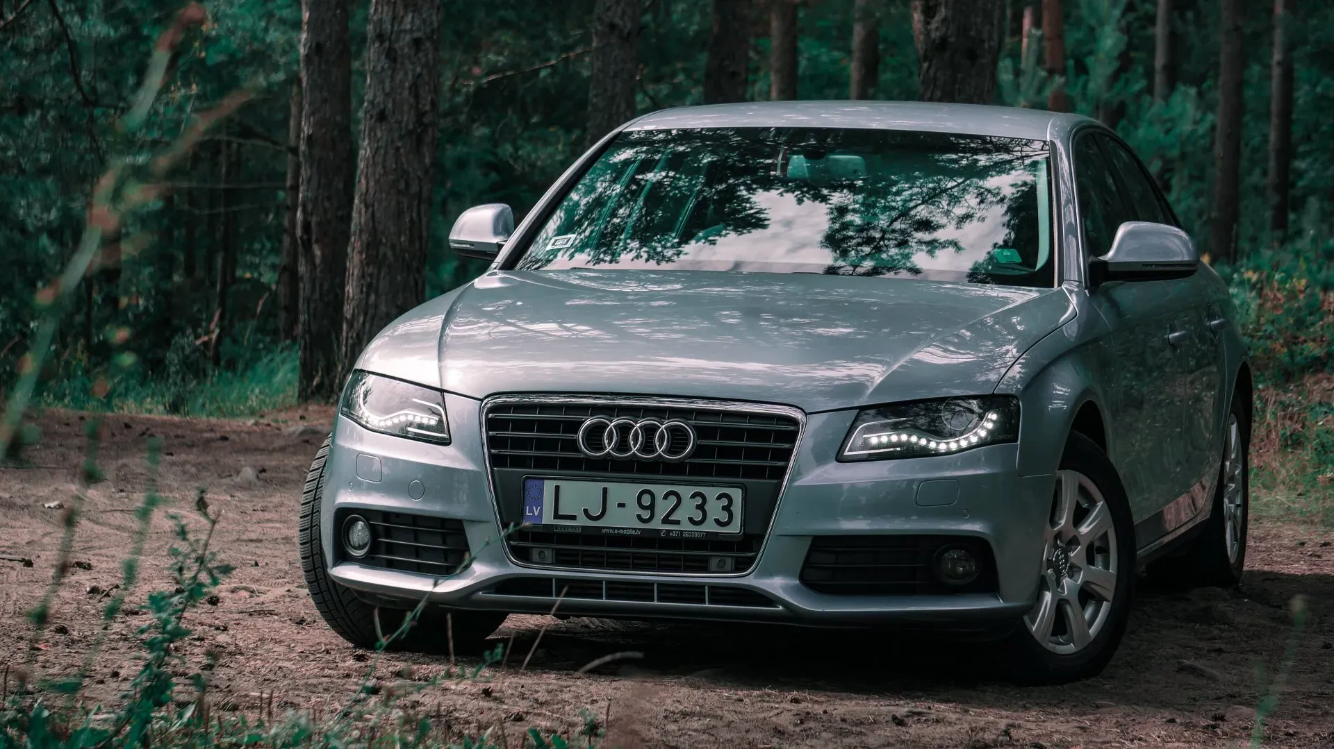 Sudraba audi stāv meža vidū.