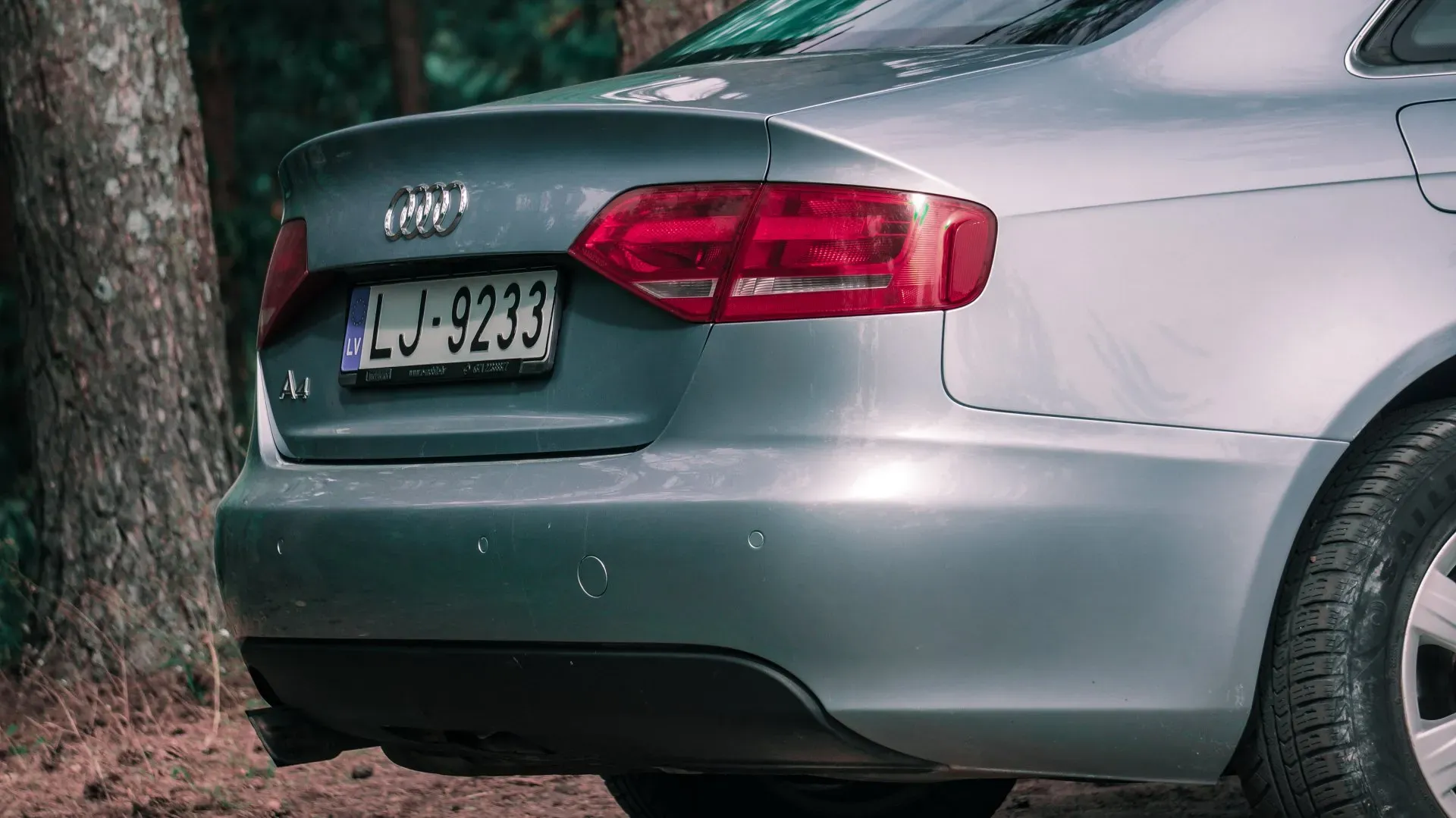 Mežā stāv sudraba auto ar numura zīmi lj 3223.