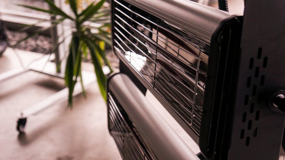 Moskītu slepkava sēž uz grīdas blakus augam.