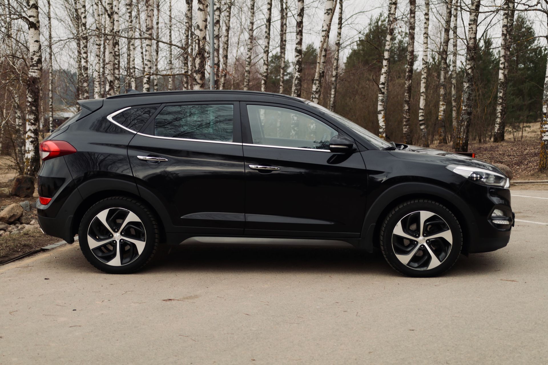 Ceļa malā meža priekšā stāv melns apvidus.