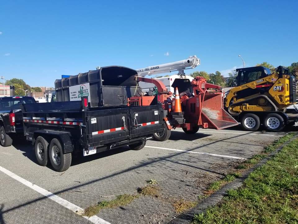 Mendez Tree Service Trucks And Equipment — Springfield, MA — Mendez Tree Service LLC