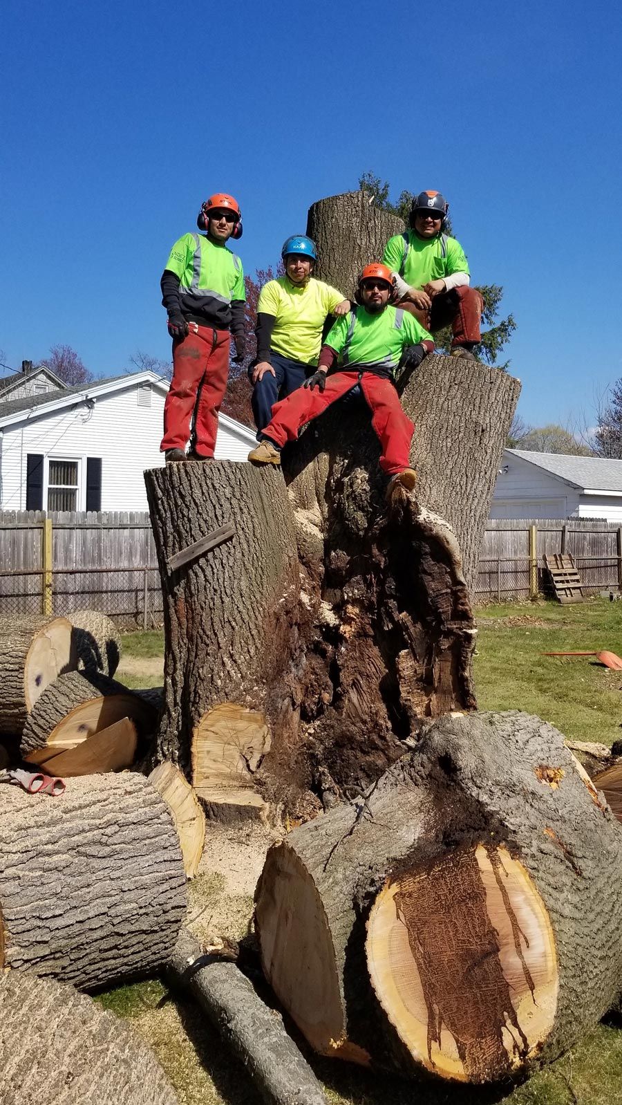 Four Men With Large Tree Trunk — Springfield, MA — Mendez Tree Service LLC