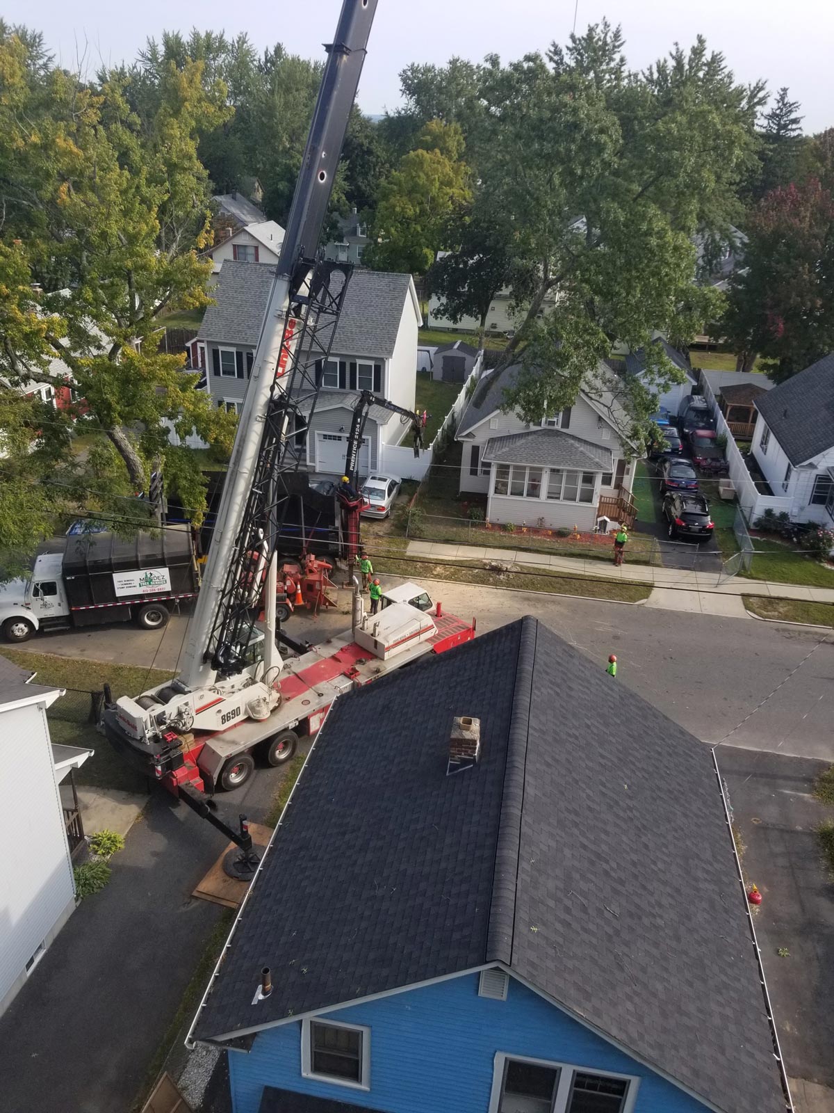 Crane Truck Carrying Tree — Springfield, MA — Mendez Tree Service LLC