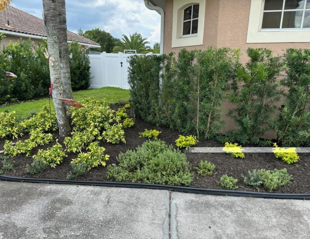 A lush green garden in front of a house with a white fence.