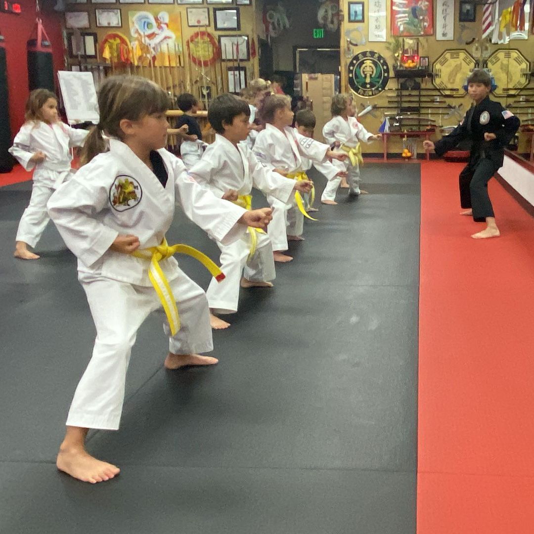 kids martial arts
