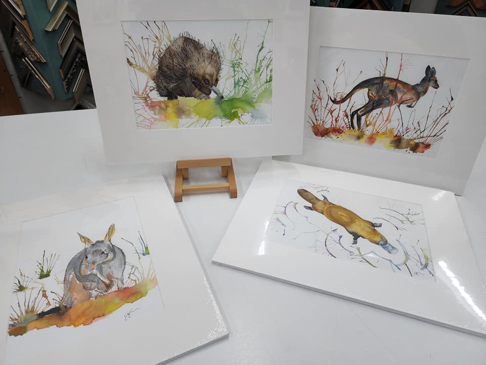 Drawing Animals — Fine Art Supplies & Custom Framing in Rockhampton City, QLD