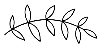 A black and white drawing of a branch with leaves on a white background.