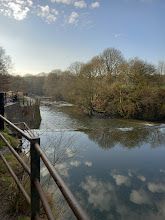 A river surrounded by trees and a railing with a blue sky in the background.