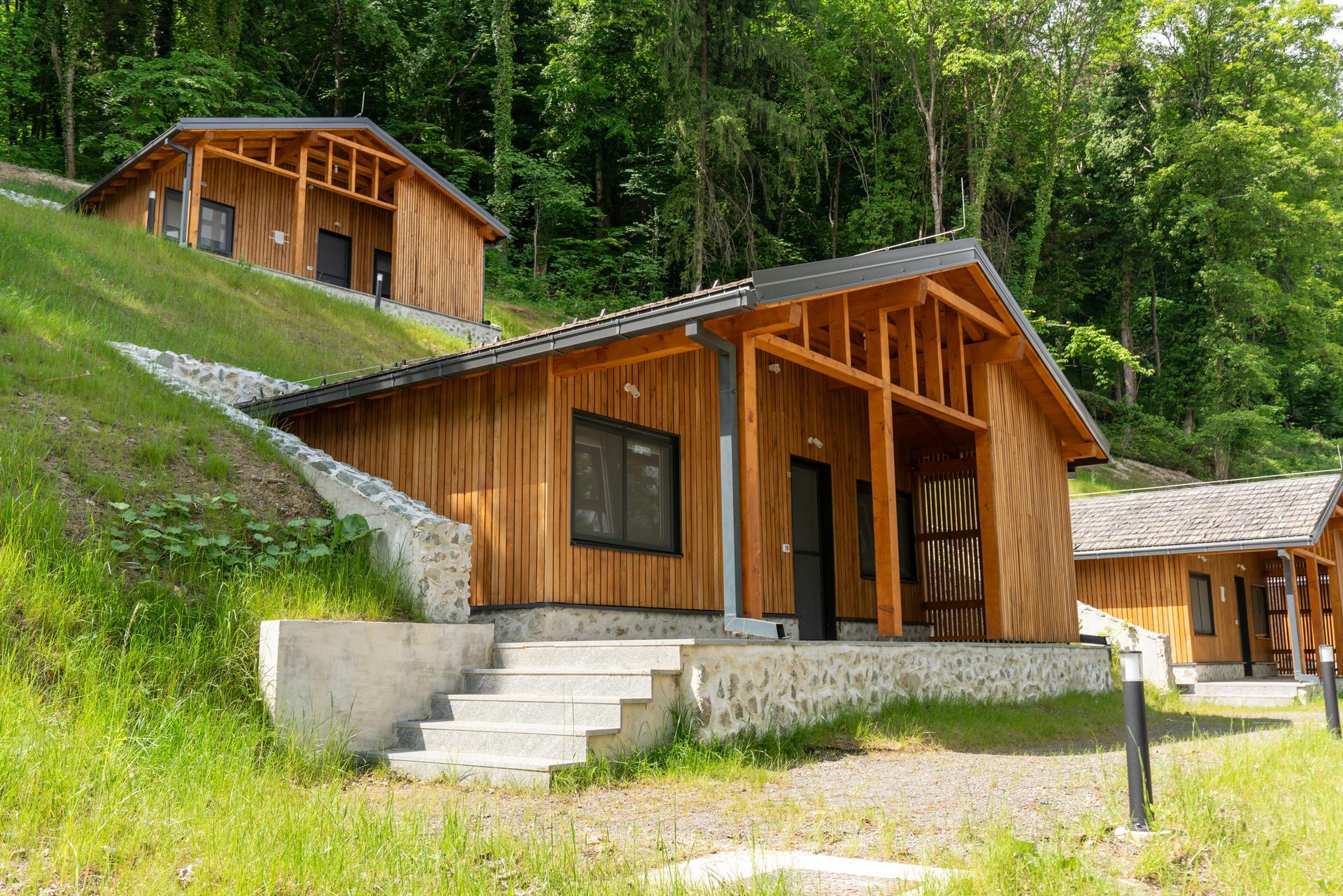 A group of wooden houses are sitting on top of a hill.