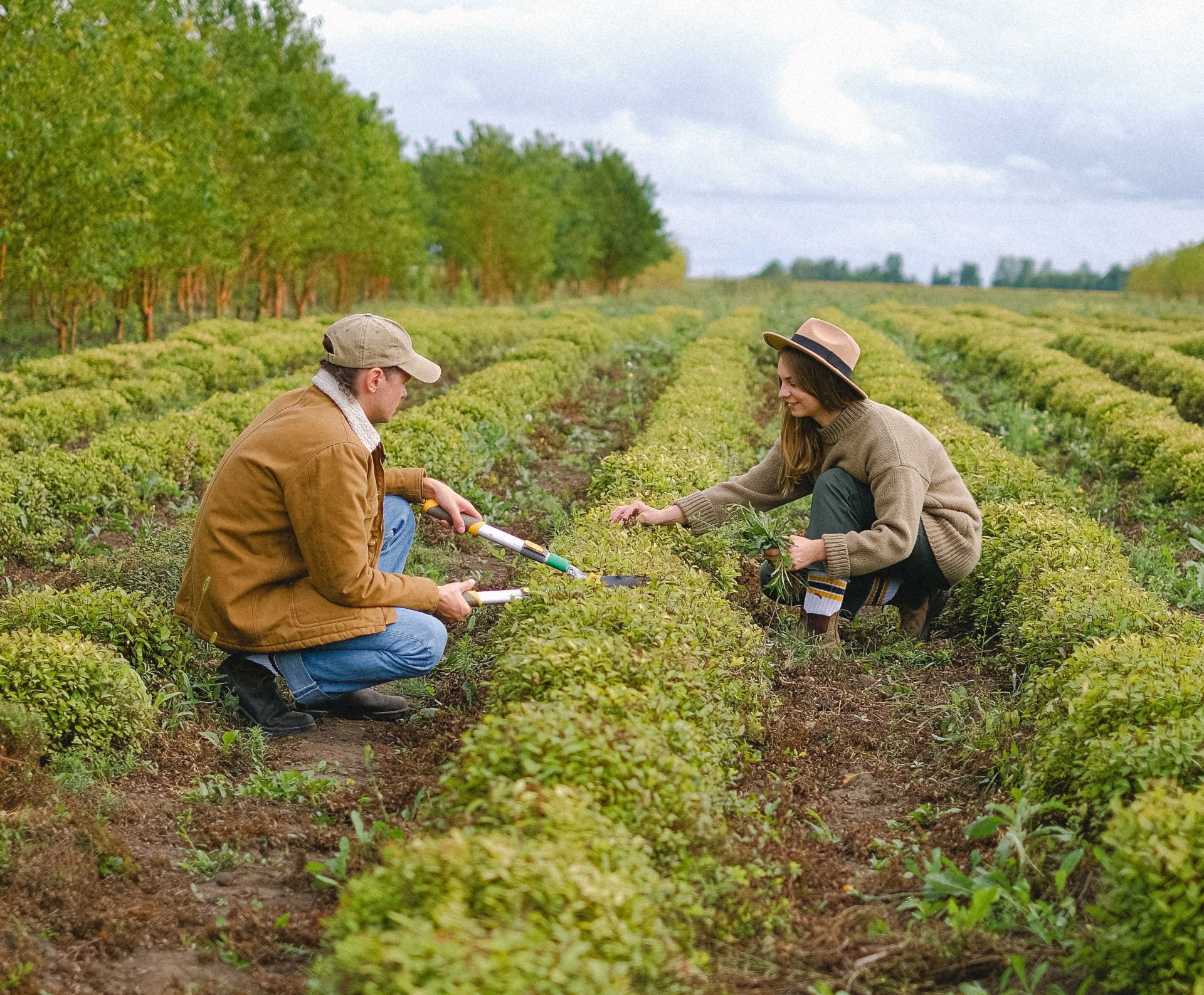 a man and a woman are kneeling in a field of plants .