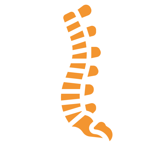 Spine Icon — Superior, WI — Kintop Chiropractic & Wellness Clinic