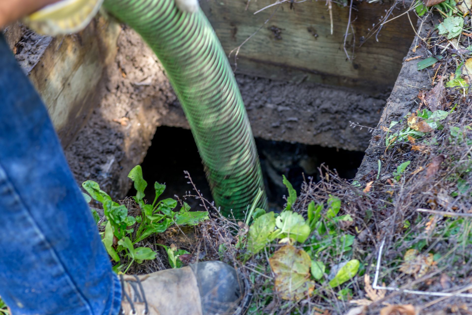 A septic tank being pumped. A green hose extends into a dark opening in the ground. Vegetation surrounds the rectangular access point.
