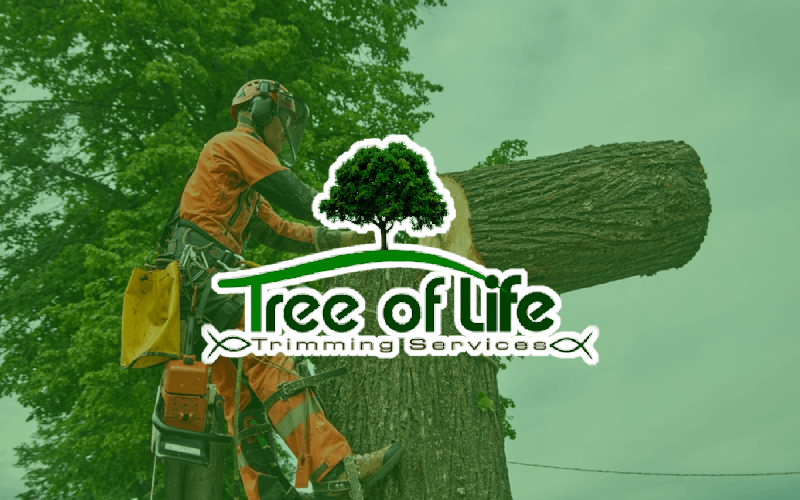 Arborist cutting tree trunk; 