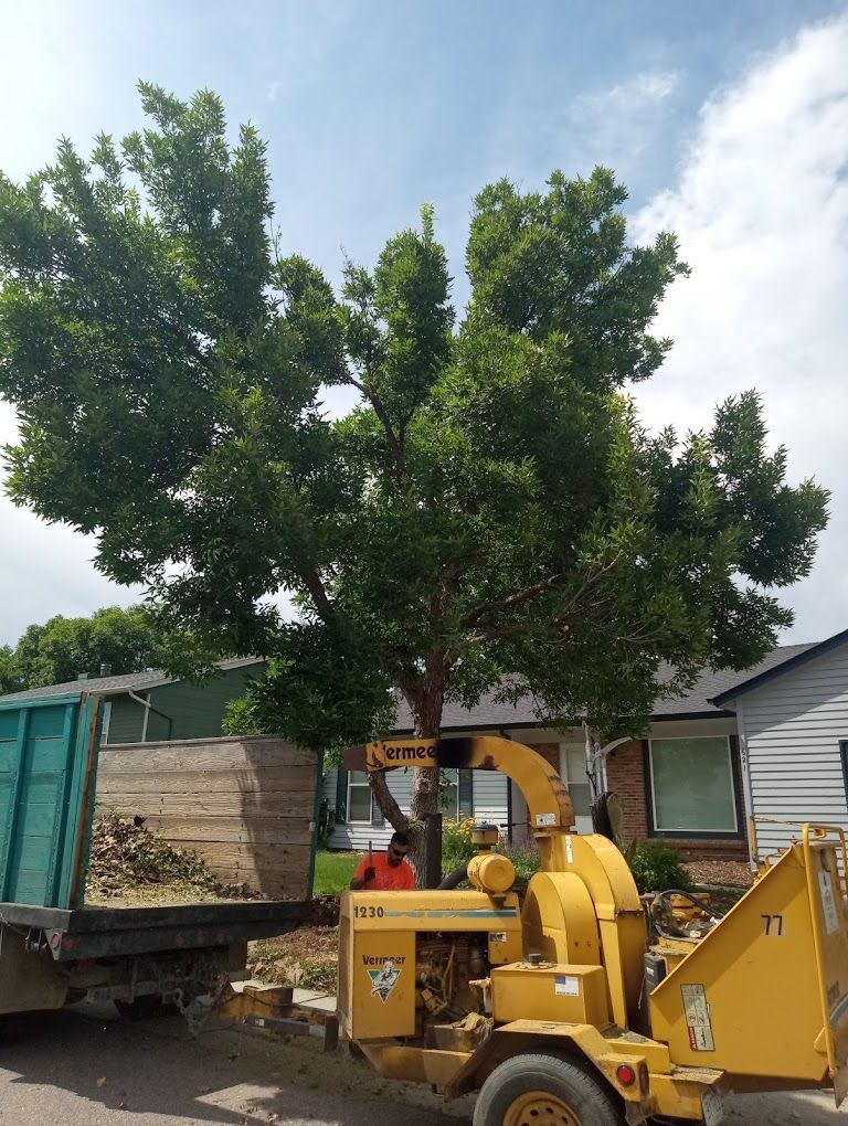 Tree being chipped, truck beside a yellow wood chipper, in front of a house, under a cloudy sky.