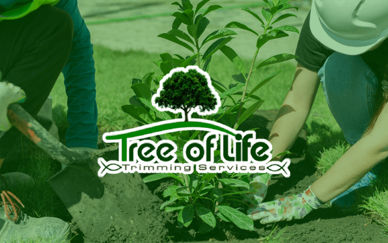 Logo for Tree of Life Trimming Services over people planting a tree.