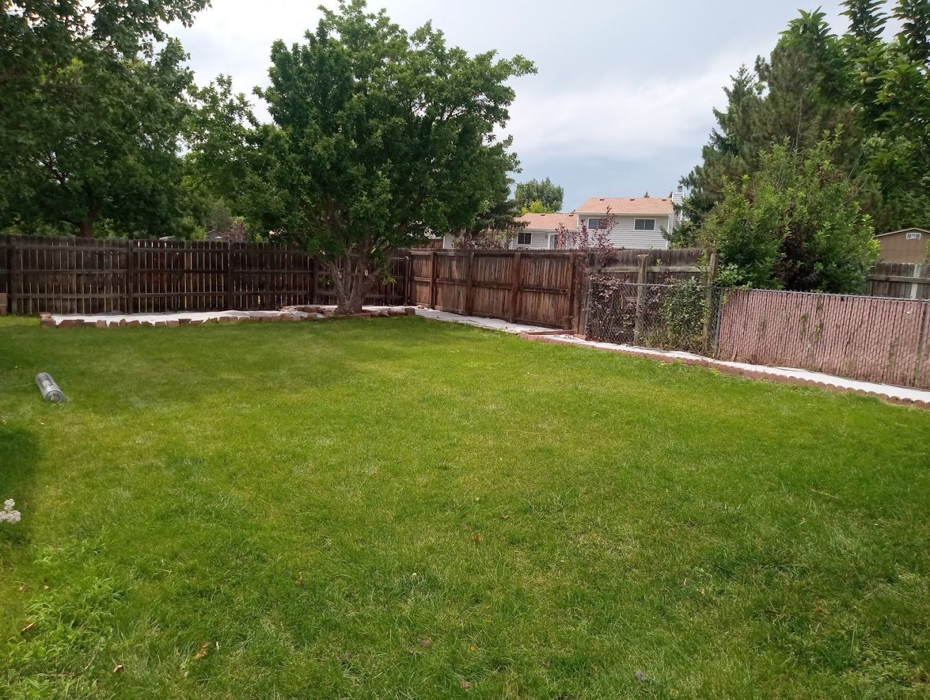 Green backyard with a wooden fence, grass, and trees.