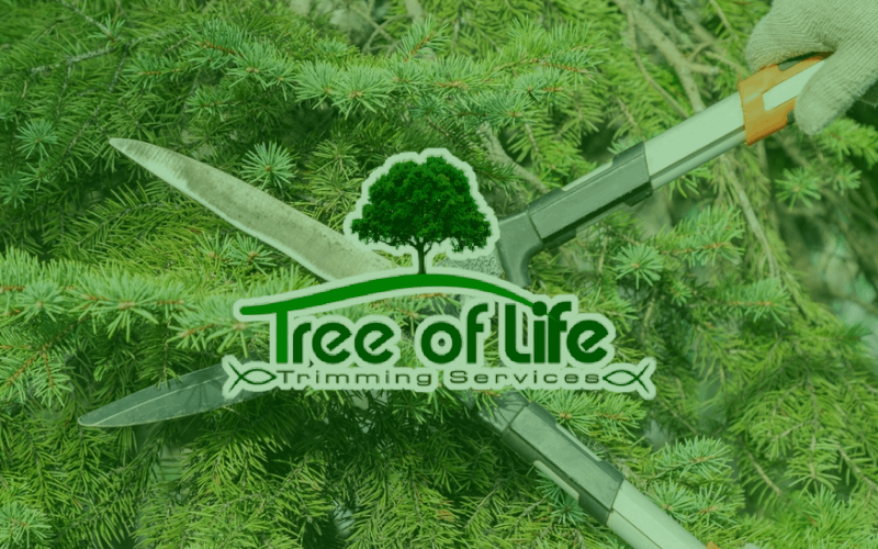 Tree of Life Trimming Services logo superimposed over a tree being trimmed by a lift.