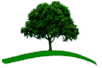 Green tree on a grassy hill; a nature-themed logo.