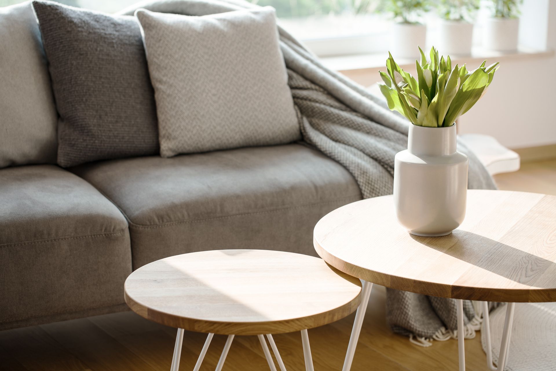 a living room with a couch , table , and potted plant .