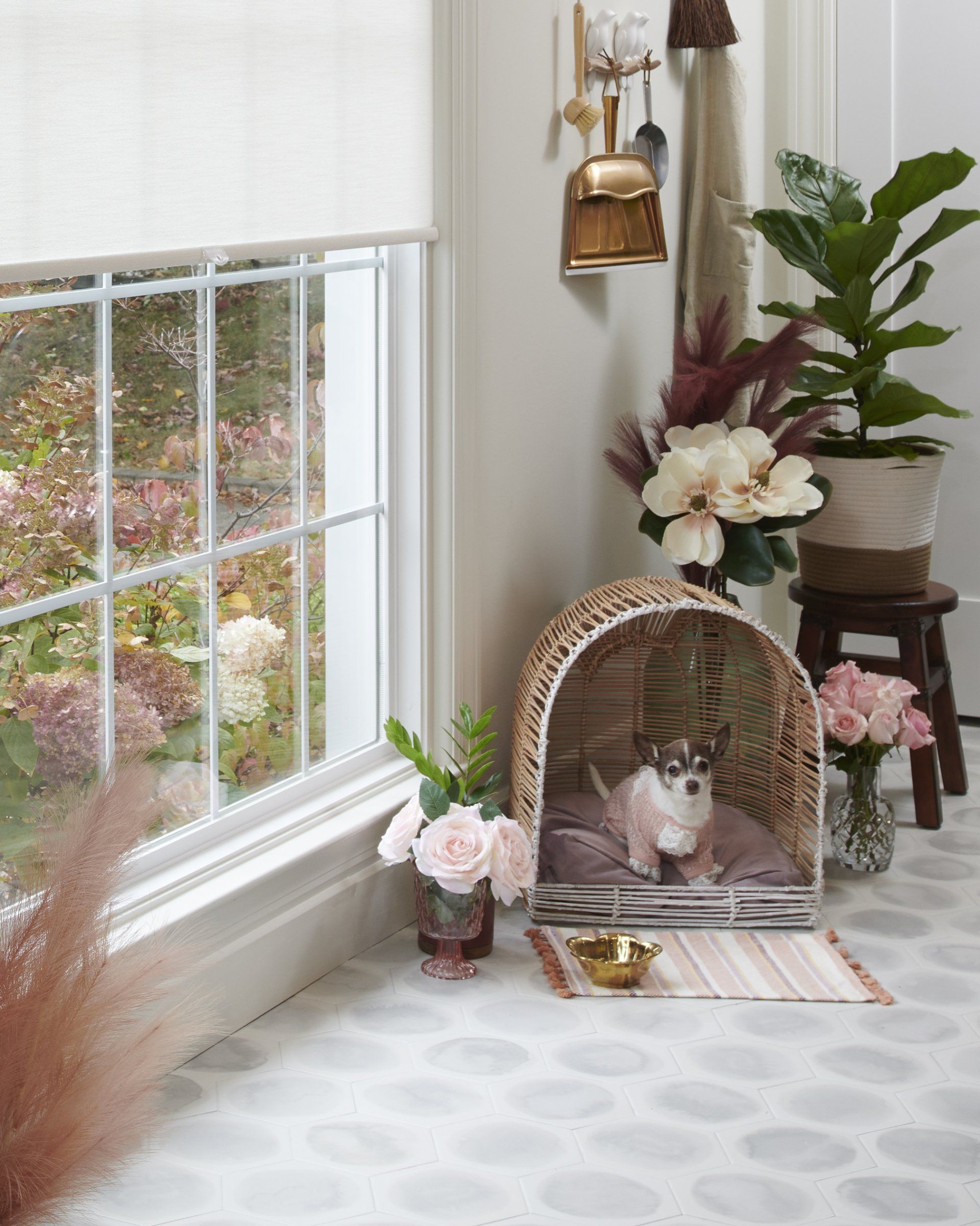 A small dog is sitting in a wicker cage next to a window.