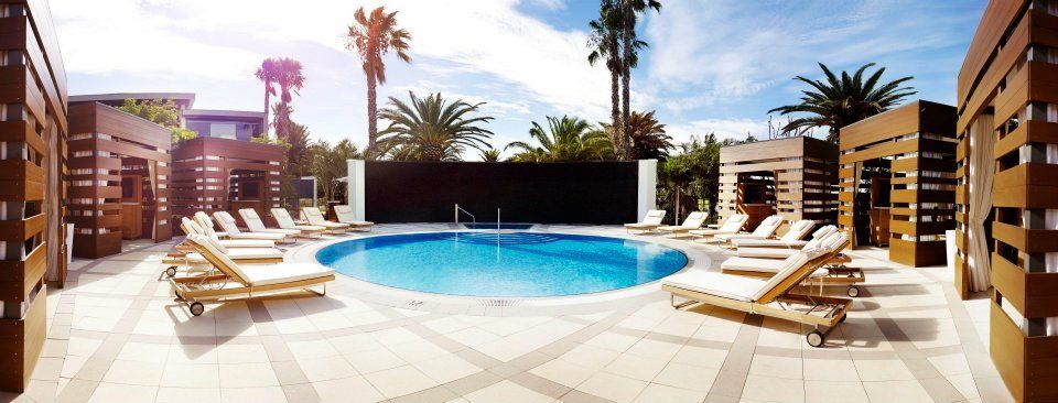 A large swimming pool surrounded by chairs and palm trees