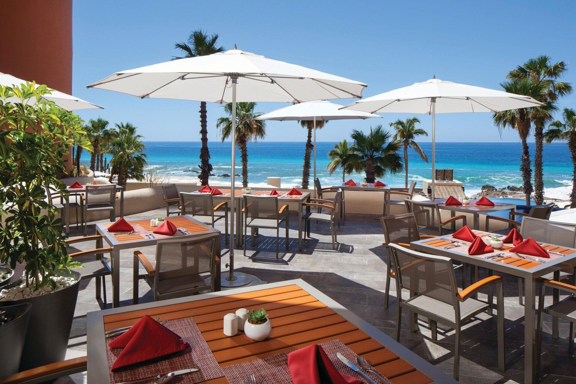 A restaurant with tables and chairs and umbrellas overlooking the ocean