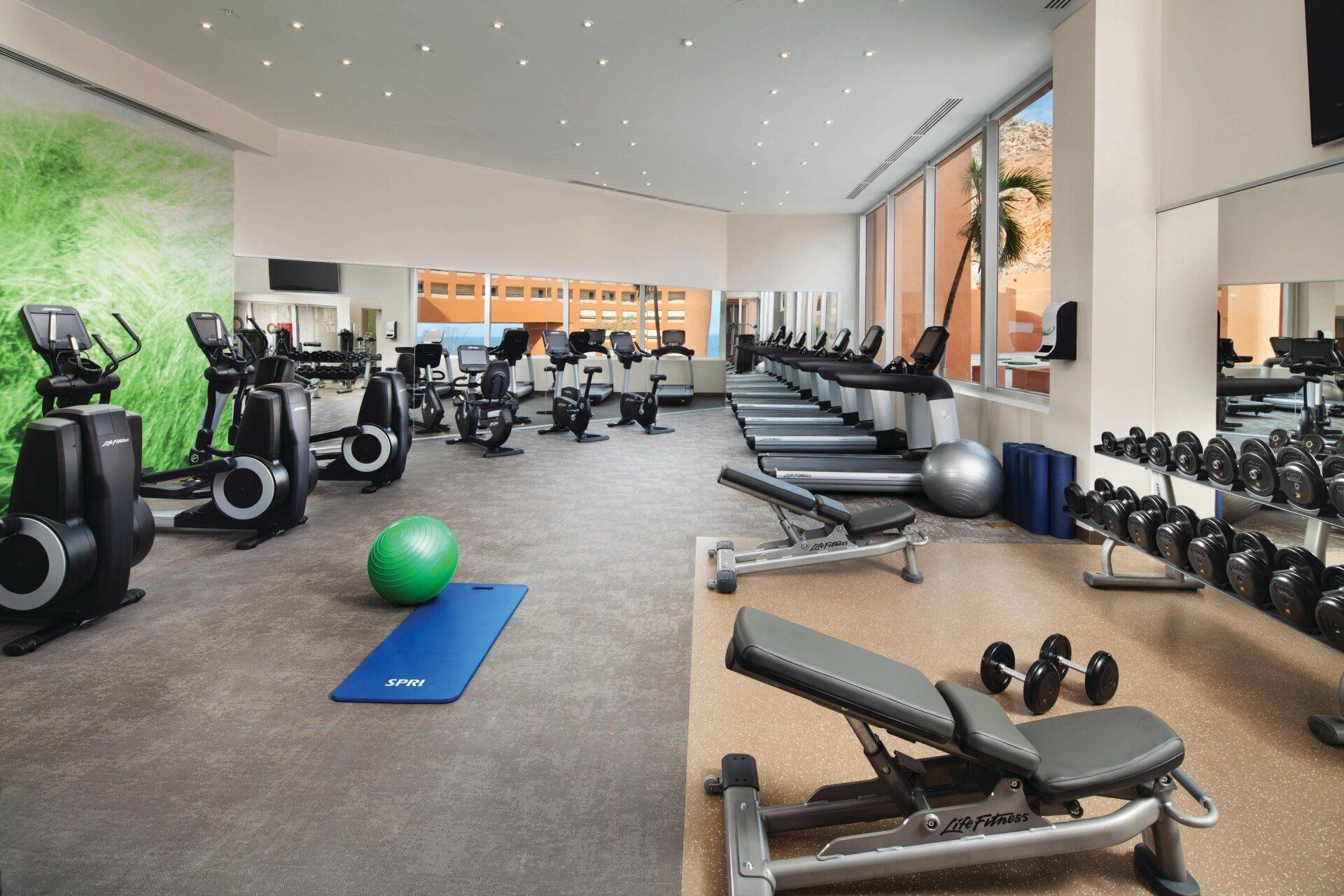 A large gym with a lot of equipment and a green ball on the floor.