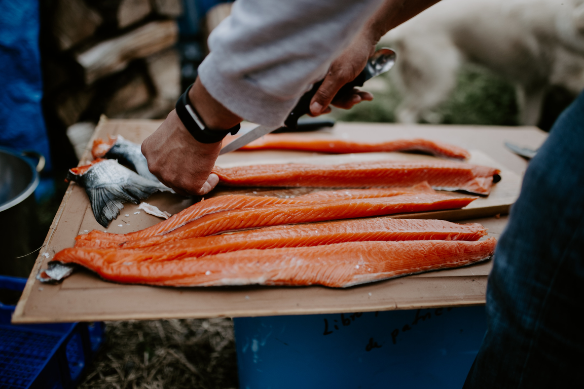processing a caught salmon