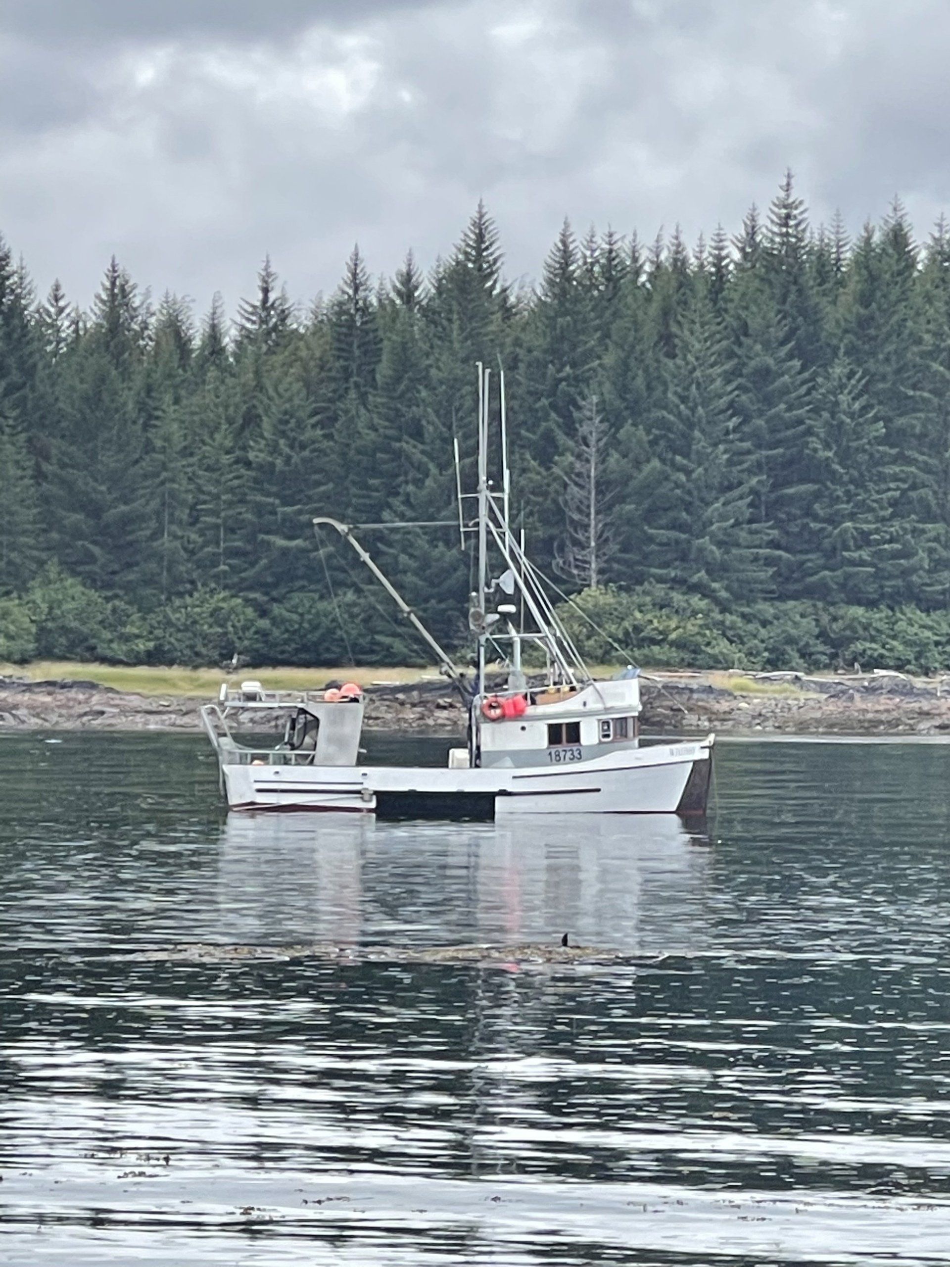 fishing boat on the water