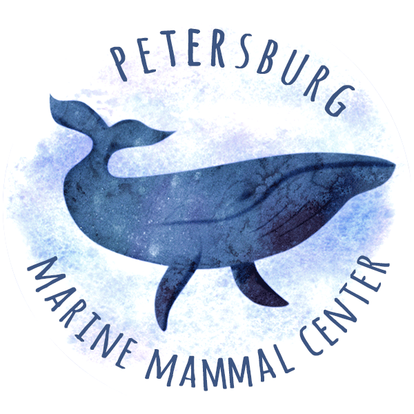 Petersburg Marine Mammal Rescue logo