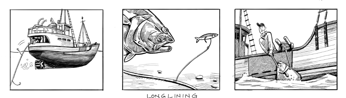 longline fishing