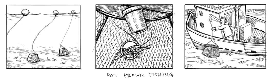 pot prawn fishing