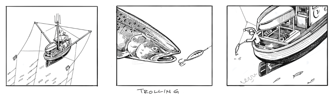 trolling fishing