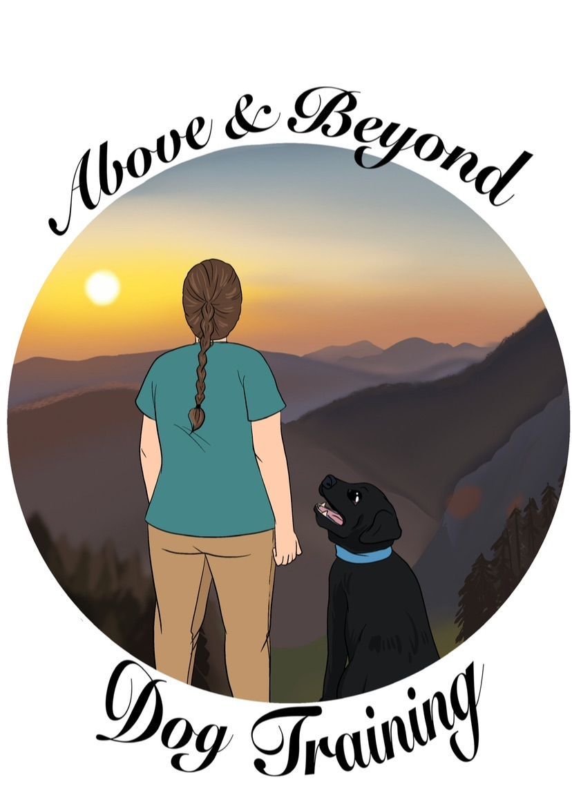 Woman and black dog overlooking mountains at sunset; Above & Beyond Dog Training logo.