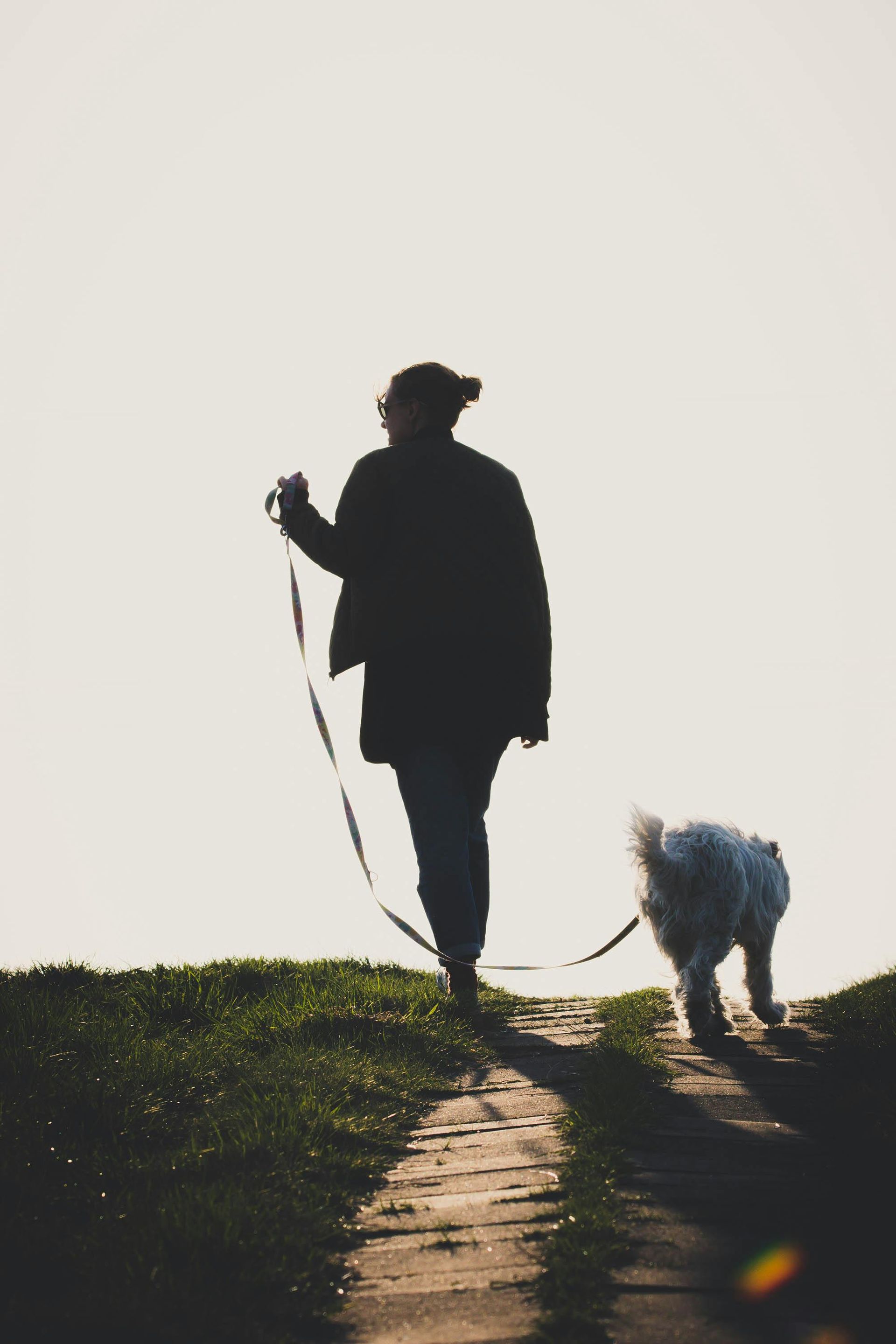 Person walking a dog on a dirt path in silhouette, against a bright sky.