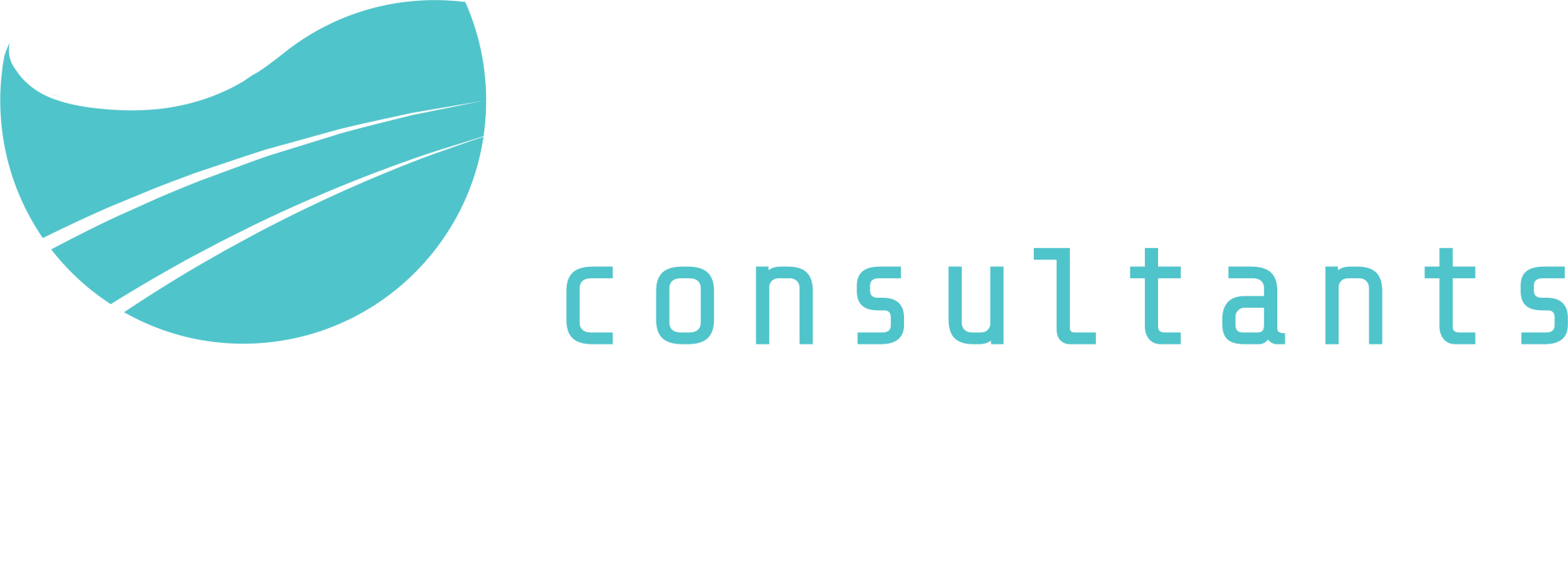 AMC Consultants - Mining Expert