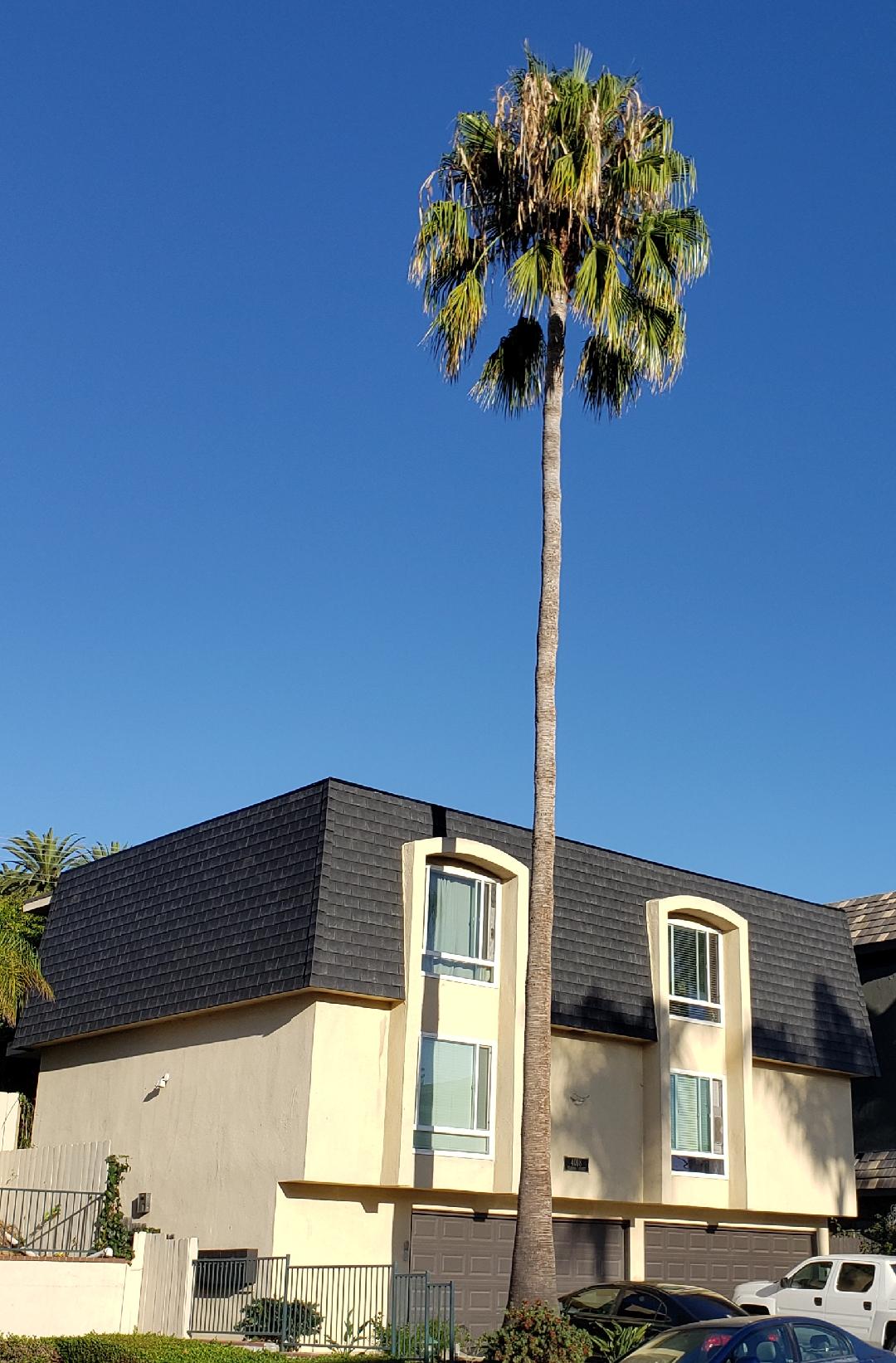 4018 Florida St Photo Gallery