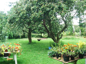 Pixies Hall Orchard