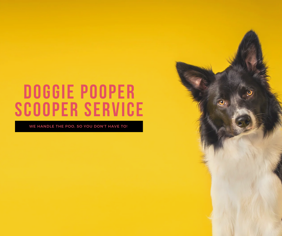 Doggie Pooper Scooper Service