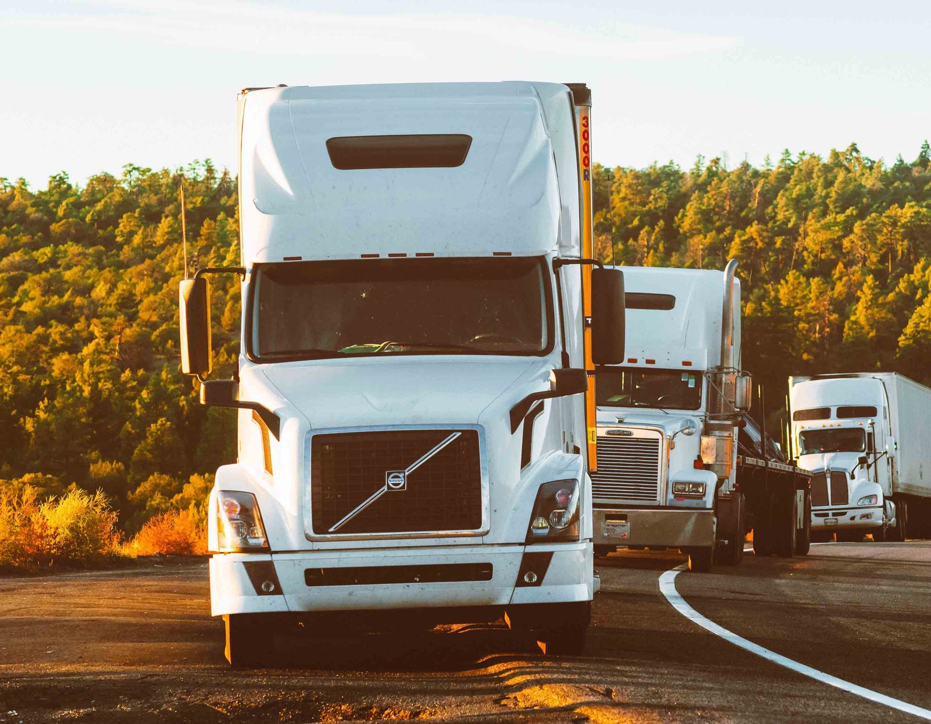White semi-trucks driving on a highway, trees in the background.