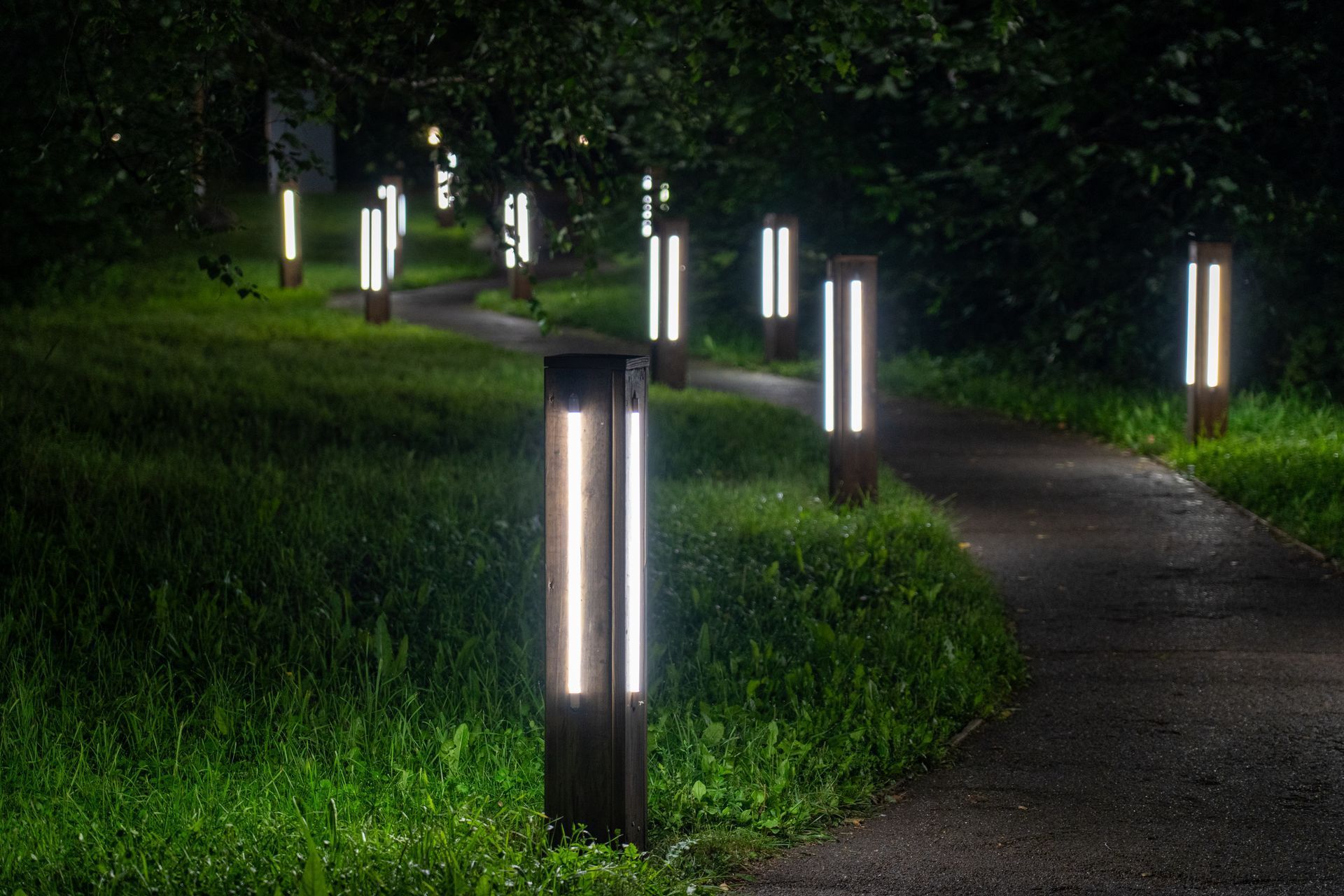 Pathway illuminated by vertical lights in a green, grassy area at night.