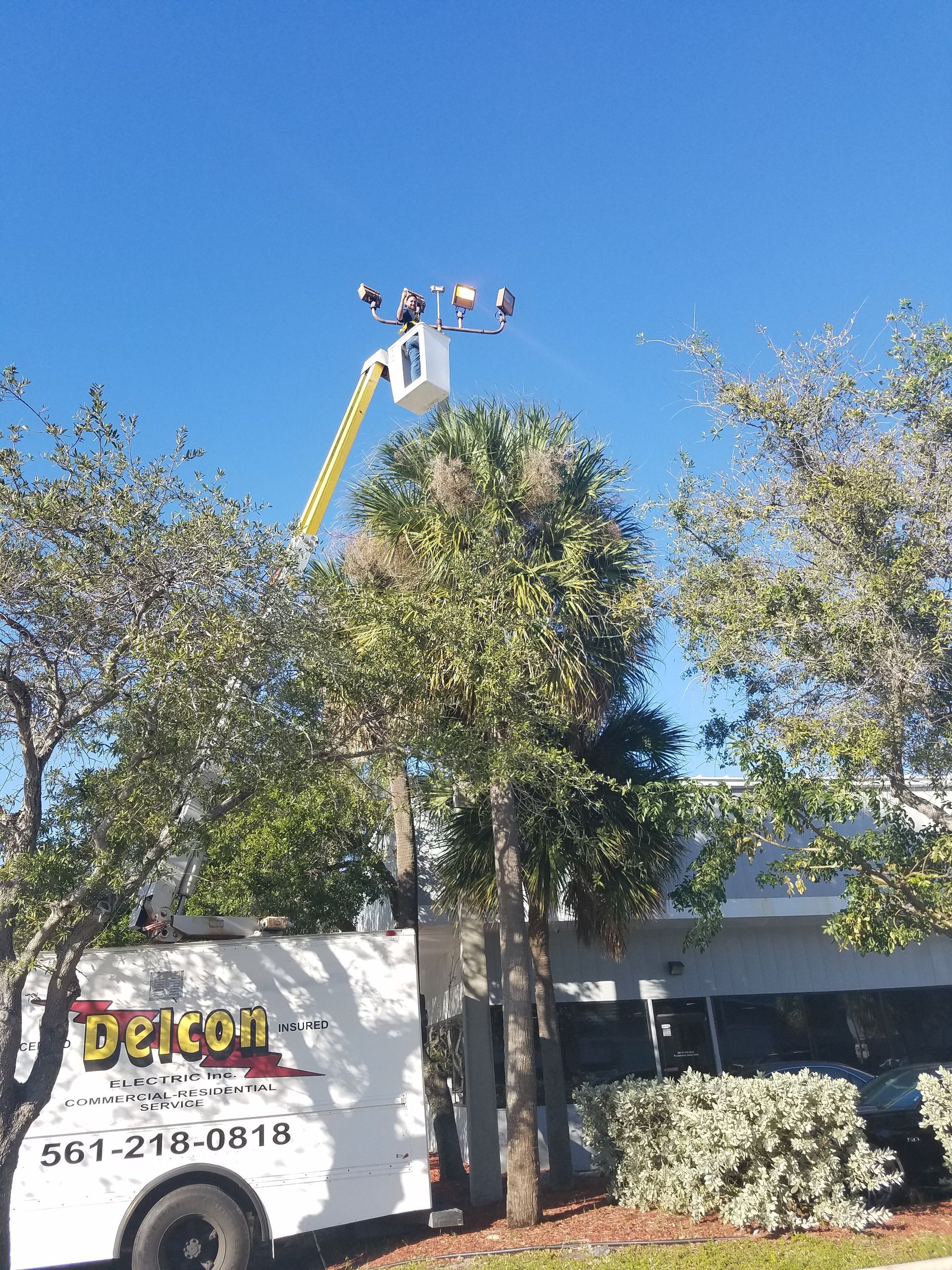A white truck with a yellow boom lift working on a light fixture above a palm tree. Clear blue sky.