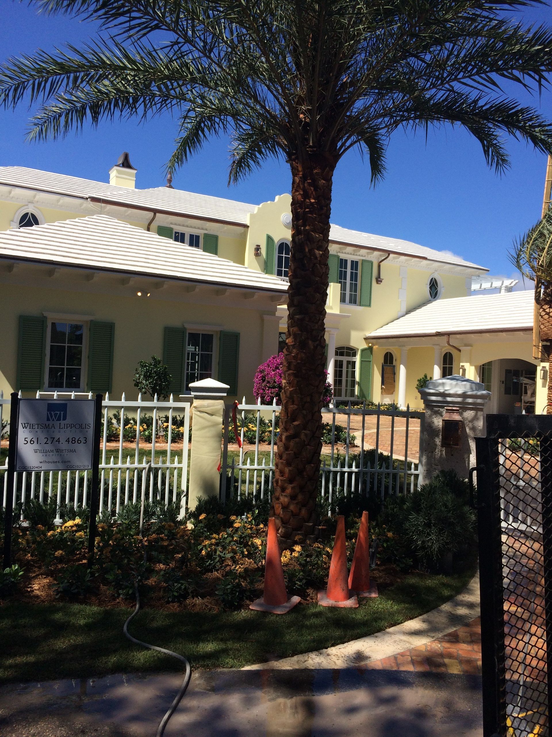 Yellow house with green shutters, a palm tree in front, and a white fence.