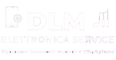 DLM Service logo