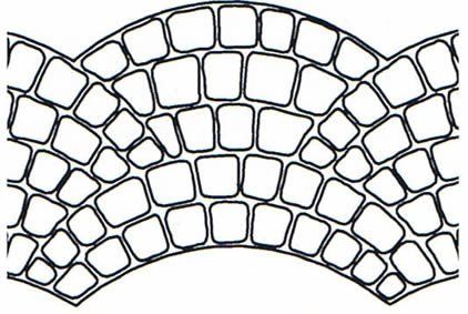 concrete tile design blueprint