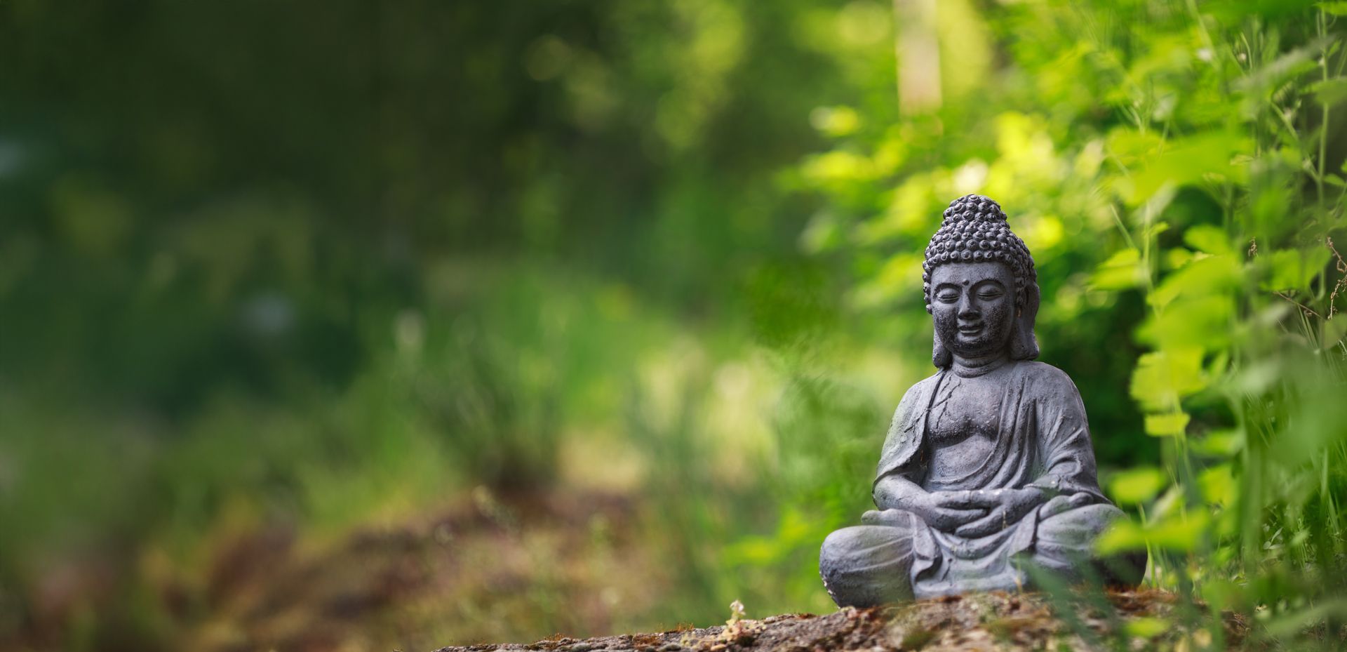 A gray, meditative Buddha statue sits in a cross-legged position amidst soft-focus green forest foliage.